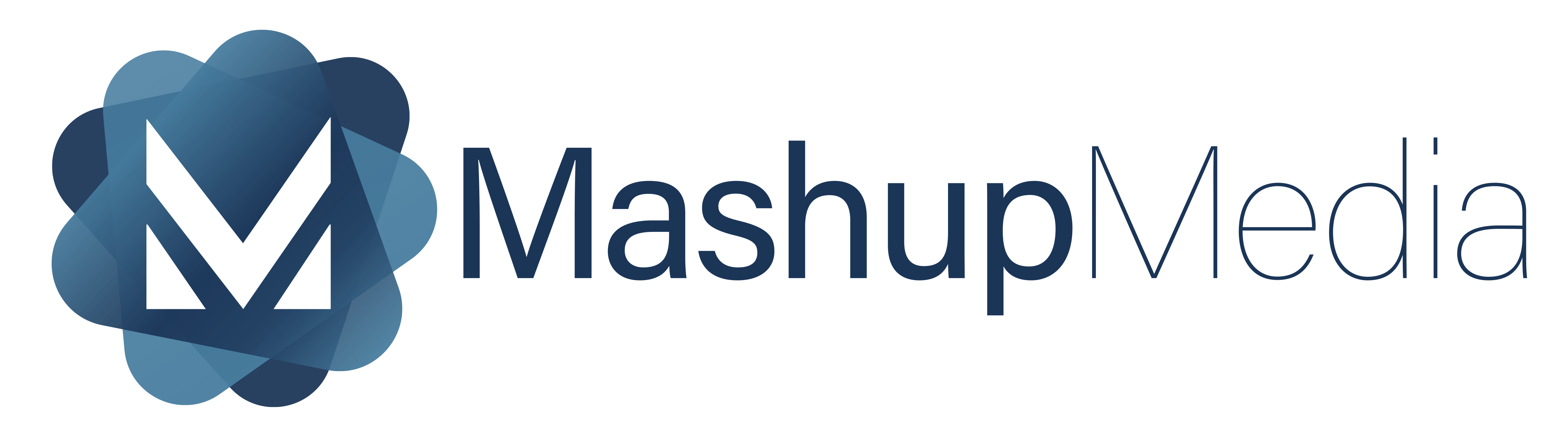 Mashup Media